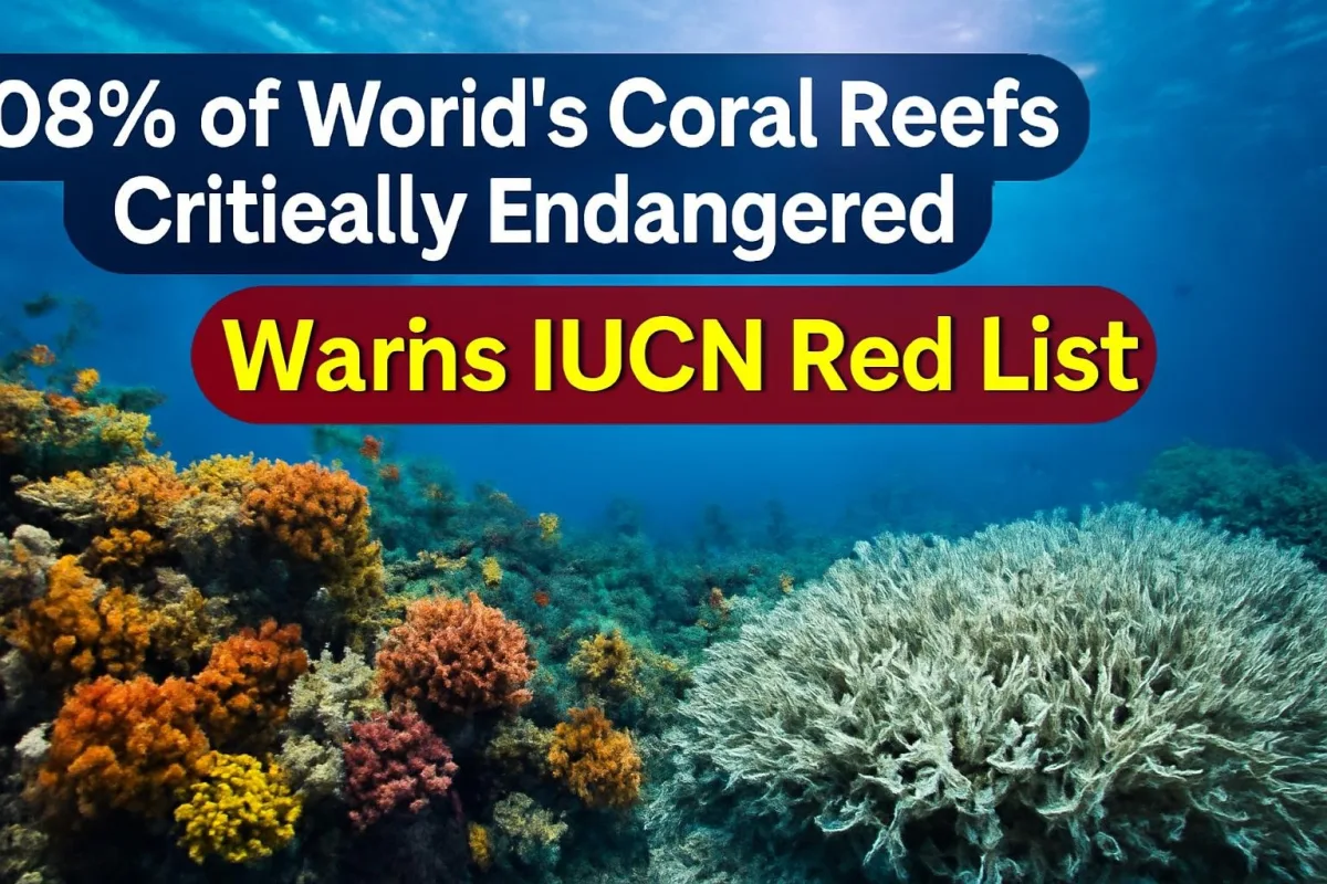 Bleached and healthy corals on a shallow tropical reef