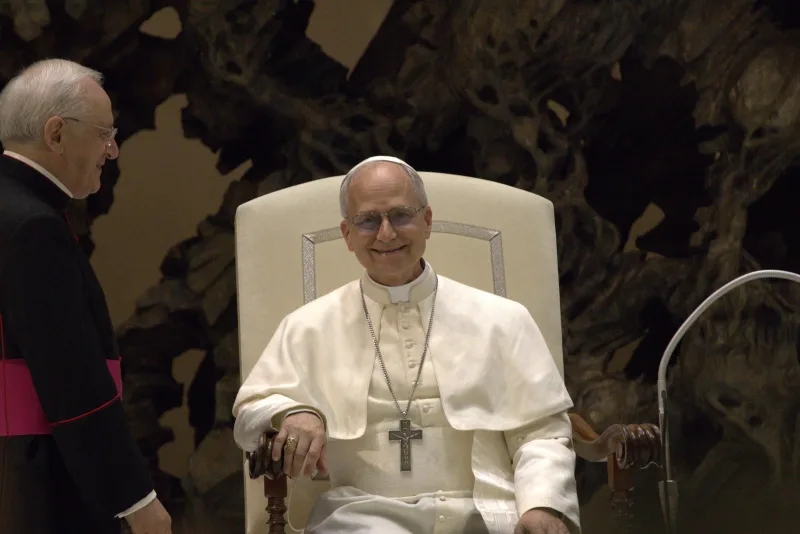 Pope Leo XIV seated during an audience at the Vatican
