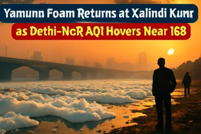 White toxic foam on the Yamuna near Kalindi Kunj with hazy Delhi skyline